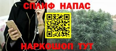 спиды Ливны