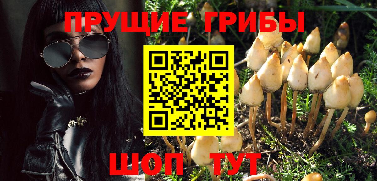 Заводоуковск  Псилоцибиновые грибы мухоморы  Вход с VPN 